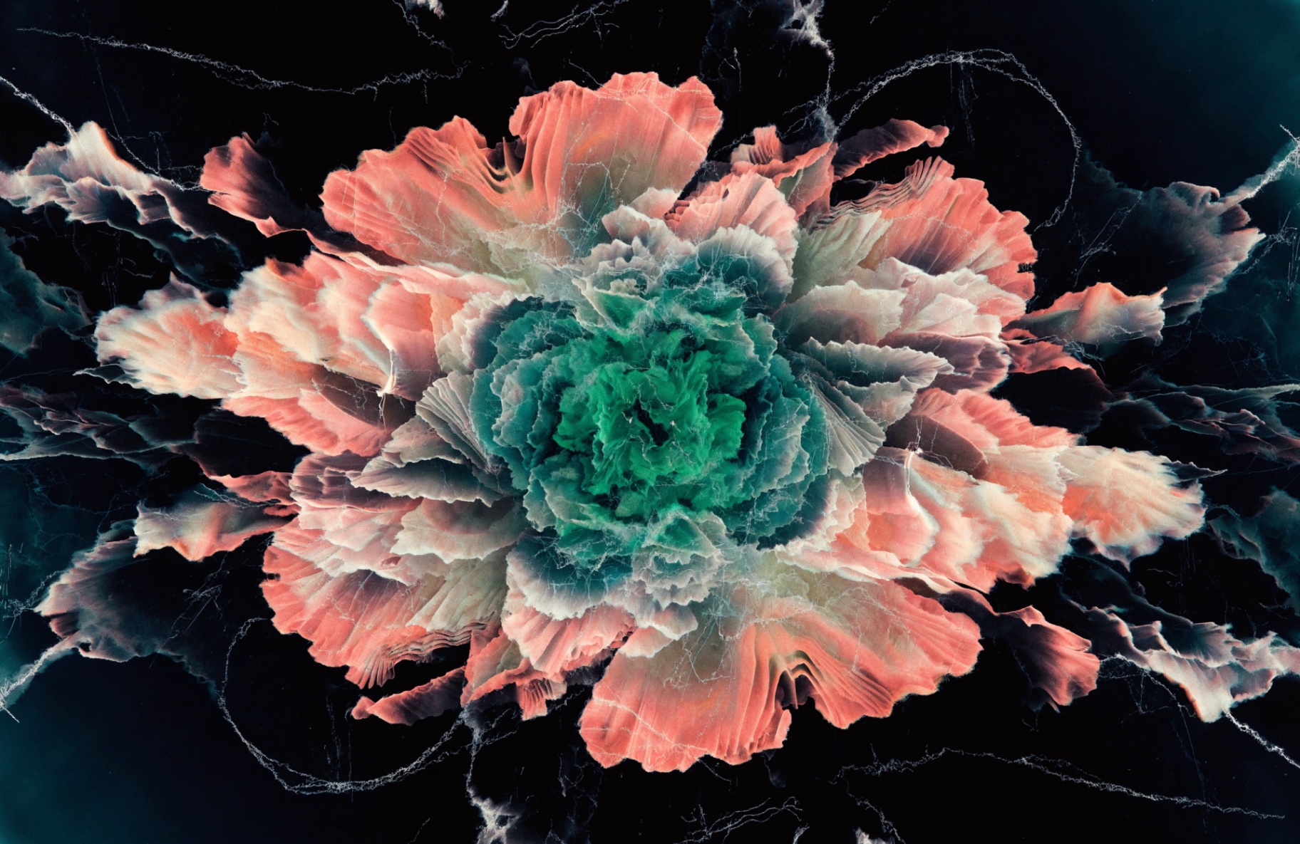 Coral & Jade Cabbage
