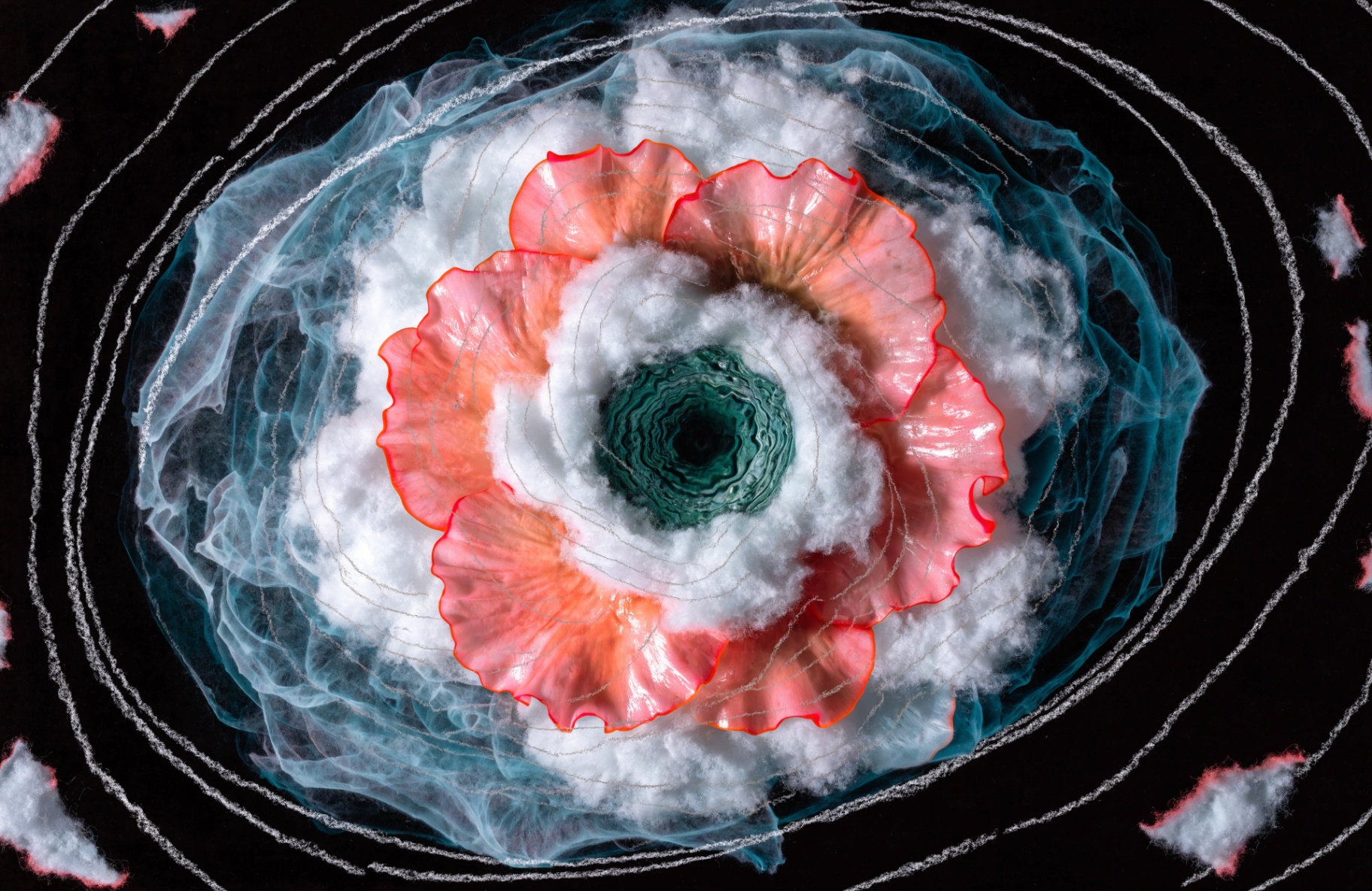 Cyan-Halo Poppy